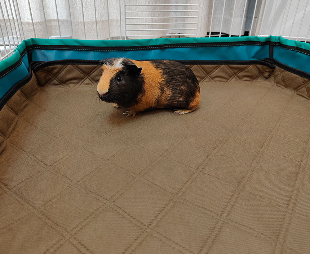 Guinea-Pig-Cage-Liner-Washable-Reusable-Guinea-Pig-Fleece-Bedding-for-Midwest-and-C-C-Cages-5